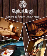Elephant Reach Hotel Sri Lanka
