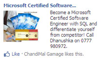 Microsoft Certified Software Engineer with SQL NetAssist International