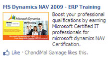 MS Dynamics NAV 2009 - ERP Training NetAssist International