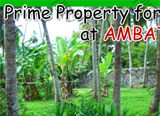Property for Sale at Ambatale Property Sales