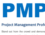 Project Management Professional NetAssist International