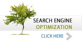 Seach engine ranking Lanka
