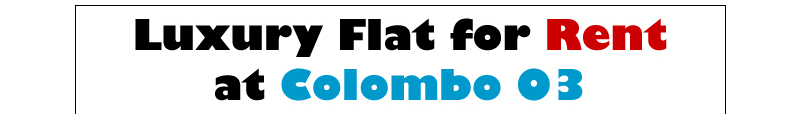 Luxury flat for rent at Colombo 03